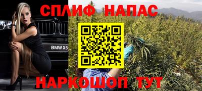 PSILOCYBIN Северобайкальск