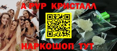 стаф Сланцы