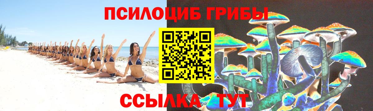 Мариинск  Псилоцибиновые грибы GOLDEN TEACHER  Вход с VPN 